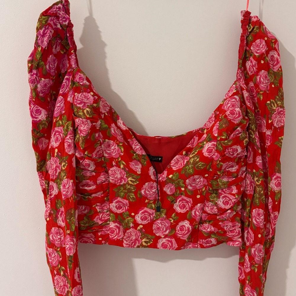 Zara Red and Pink Floral Blouse